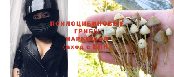 твердый Лагань