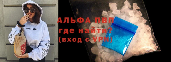 спайс Ладушкин