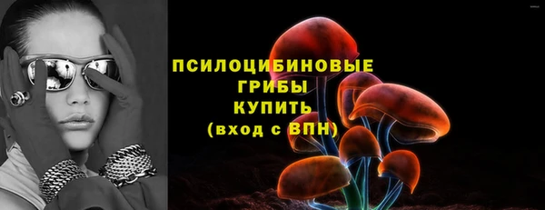 твердый Лагань