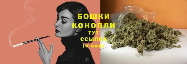 спайс Ладушкин