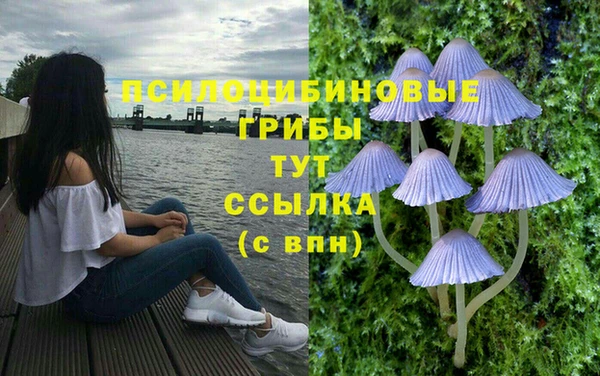 твердый Лагань