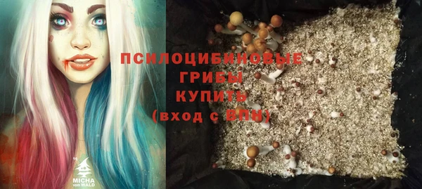 твердый Лагань