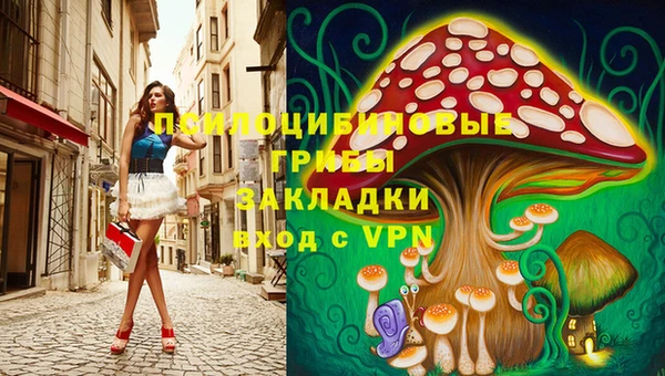твердый Лагань