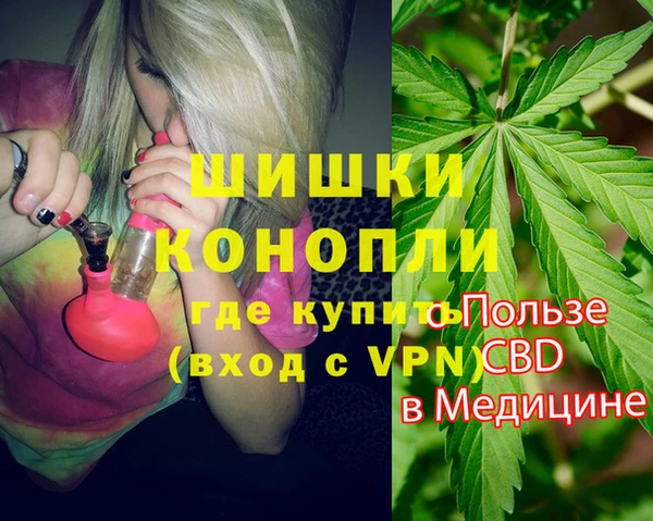 твердый Лагань