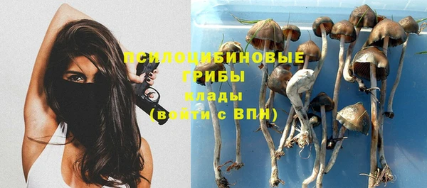 спайс Ладушкин