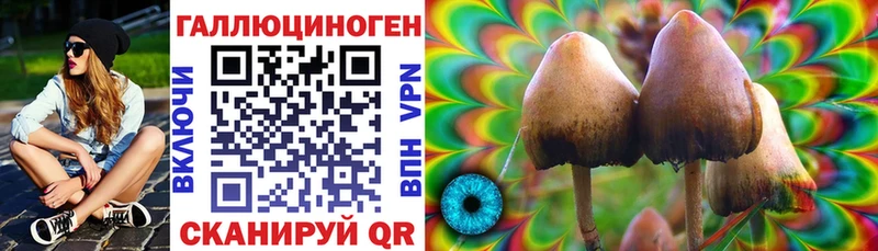 Галлюциногенные грибы Magic Shrooms  Шали 
